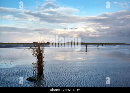 Das wattenmeer in der Nähe der Insel Neuwerk mit dem hellen Feuer. Die Insel liegt an der Mündung der Elbe in die Nordsee und gehört zu Hamburg. Stockfoto