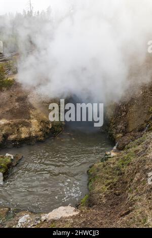 Dragon's Mouth Spring im Yellowstone National Park, Wyoming, USA Stockfoto