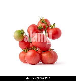 Tomatenbündel isoliert auf weißem Hintergrund, frisch geerntete rote, orange und grüne Beeren Stockfoto