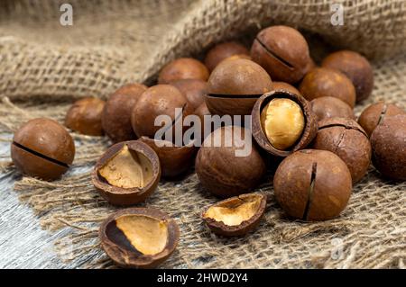 Macadamia. Macadamianüsse liegen in einem Haufen auf einem rauhen grauen Tuch, geschält und ungeschält in der Schale Stockfoto