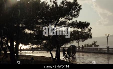 Schöne Böschung während des Sommerregens bei Sonnenuntergang. Menschen, die sich vor Regen verstecken, während sie in der Nähe eines großen Baumes auf bewölktem Himmel und Meeresgrund wandeln. Stockfoto