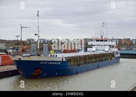 Das Frachtschiff CELTIC ENDEAVOUR ist neben der KGV-Schleuse in den Londoner Royal Docks bereit, eine Ladung Zementpulver aus Portugal zu entladen Stockfoto