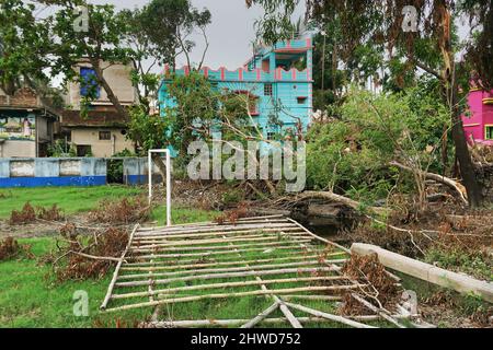 Howrah, Westbengalen, Indien - 31.. Mai 2020 : Super-Wirbelsturm Amphan entwurzelte Bäume, die auf ein Feld fielen. Die Verwüstung hat viele Bäume fallen lassen. Stockfoto