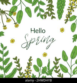 Hello Spring Banner mit grünen floralen Elementen. Handgezeichnete Vektorgrafik Stock Vektor