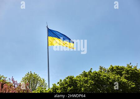 Flagge der Ukraine. Ukrainische Nationalflagge flattert im Wind gegen den blauen Himmel. Nationales Symbol des ukrainischen Volkes - blaues und gelbes Banner flattert Stockfoto