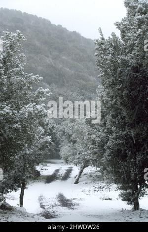 Weißer Schnee fällt auf Waldweg von Sizilien Stockfoto