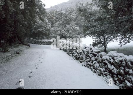 Weißer Schnee fällt auf Waldweg von Sizilien Stockfoto