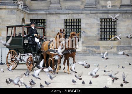 AMSTERDAM - AUGUST 2011: Pferdekutsche umgeben von Vögeln auf dem Dam-Platz in Amsterdam, Niederlande, Holland. Stockfoto