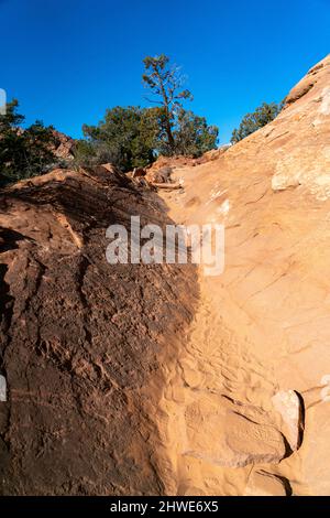 Blick auf den Narrow Trail im Zion Park, der den Berg hinaufgeht Stockfoto