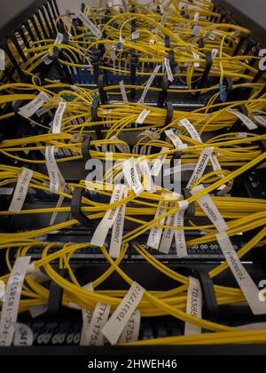 Mehrere Server-Rack-Kabel, Cloud-Speicher, Anzeigen in verschiedenen Farben, lan Stockfoto