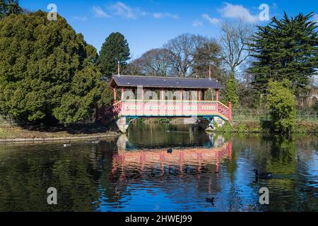 Gänse und Enten im See vor der Schweizer Brücke im Birkenhead Park auf dem Wirral im März 2022. Stockfoto