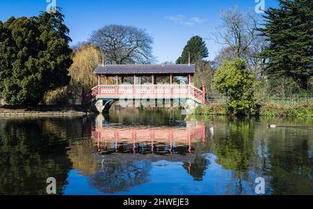 Ein Paar Mallard-Enten sah im März 2022 vor der Schweizer Brücke im Birkenhead Park auf dem Wirral schwimmen. Stockfoto