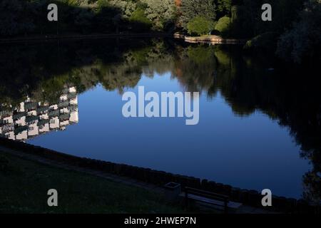 See im Park. Teich in der Stadt. Wasseroberfläche. Schatten auf dem See. Stockfoto