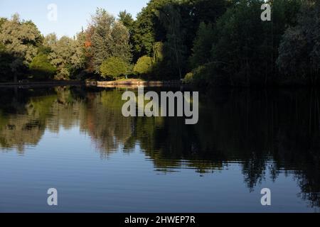 See im Park. Teich in der Stadt. Wasseroberfläche. Schatten auf dem See. Stockfoto