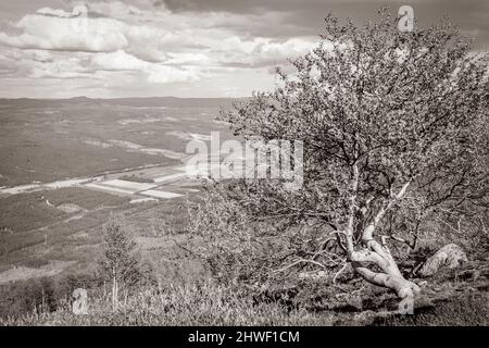 Altes Schwarz-Weiß-Bild von einem schönen Tal Landschaft Panorama Norwegen von Hydalen Hemsedal mit Schnee in den Bergen im Sommer. Stockfoto