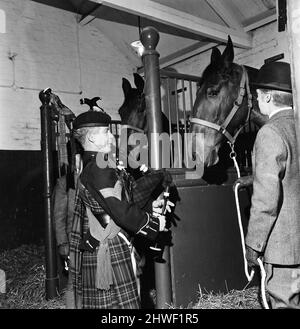 Piper Mitch Mitchinson spielt Dudelsäcke zu den Dray Horses der Newcastle Brewery, um sie nach einem Leben mit Blaskapellen an das Heulen der Pfeifen zu gewöhnen. April 1970. Stockfoto