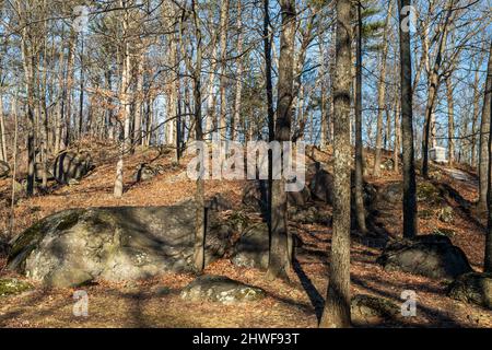 Bäume auf der kleinen runden Oberseite mit dem Denkmal für die Maine Volunteer Infantry 20. im Gettysburg National Military Park in Gettysburg, PA, USA Stockfoto