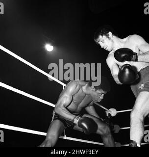 Boxkampf zwischen Jimmy Tibbs (rechts) und Ray Hassan im Empire Pool, Wembley, London. Tibbs gewann gegen Ray Hassan, TKO Technical Knockout. 24.. März 1970. Stockfoto