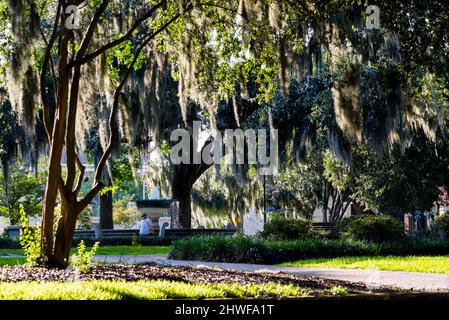 Deutscher Gedenkbrunnen umgeben von Eichen in Savannah, Georgia. Stockfoto