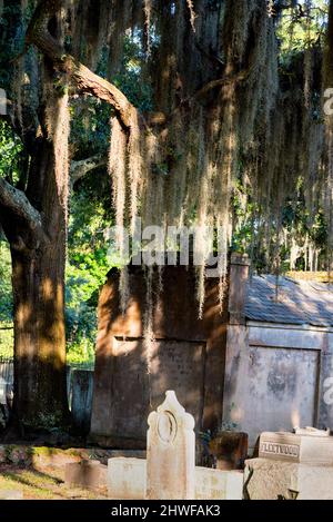 Laurel Grove North Cemetery in der weißen Hälfte eines segregierten Friedhofs in Savannah, Georgia. Stockfoto