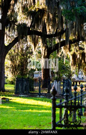 Laurel Grove North Cemetery in der weißen Hälfte eines segregierten Friedhofs in Savannah, Georgia. Stockfoto