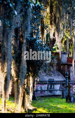 Laurel Grove North Cemetery in der weißen Hälfte eines segregierten Friedhofs in Savannah, Georgia. Stockfoto