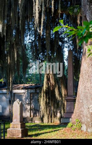 Laurel Grove North Cemetery in der weißen Hälfte eines segregierten Friedhofs in Savannah, Georgia. Stockfoto