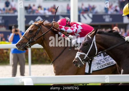 Hallandale Beach, Florida, USA. 5. März 2022. 5. März 2022: #2 COINAGE und Jockey Luis Saez gewinnen am 5.. März 2022 die Palm Beach-Einsätze für Trainer Mark Casse am Tag der Jungbrunnen-Einsätze im Gulfstream Park in Hallandale Beach, FL. Liz Lamont/Eclipse Sportswire/CSM/Alamy Live News Stockfoto