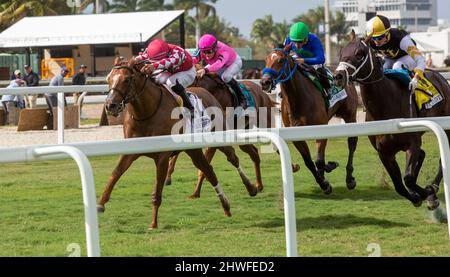 Hallandale Beach, Florida, USA. 5. März 2022. 5. März 2022: #2 COINAGE und Jockey Luis Saez gewinnen am 5.. März 2022 die Palm Beach-Einsätze für Trainer Mark Casse am Tag der Jungbrunnen-Einsätze im Gulfstream Park in Hallandale Beach, FL. Liz Lamont/Eclipse Sportswire/CSM/Alamy Live News Stockfoto