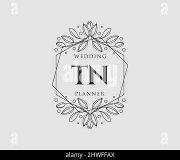 TN Initialen Brief Hochzeit Monogramm Logos Kollektion, handgezeichnete moderne minimalistische und florale Vorlagen für Einladungskarten, Save the Date, elegant Stock Vektor