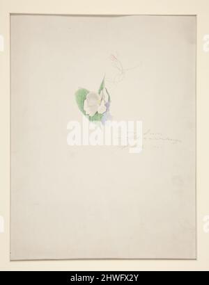 Blume. Künstler: Joseph Stella, Amerikaner, geboren Italien, 1877–1946 Stockfoto