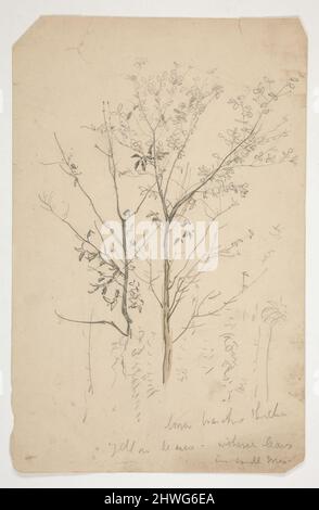 Skizze von zwei Bäumen. Künstler: Edwin Austin Abbey, amerikanisch, 1852–1911, M.A. (HON.) 1897 Stockfoto