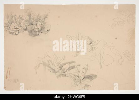 Studien von Blumen. Künstler: Edwin Austin Abbey, amerikanisch, 1852–1911, M.A. (HON.) 1897 Stockfoto