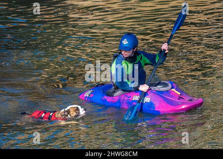 Junge Kajakerin, die ihren Hund zum Schwimmen auf dem Chattahoochee River auf Waveshaper Island in Uptown Columbus, Georgia, bringt. (USA) Stockfoto