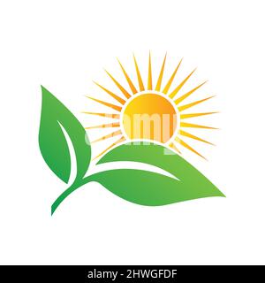 Sun Rise over Leaves Logo Design Vektorvorlage. Eco Sun Logo, Natürliches Logo. Stock Vektor