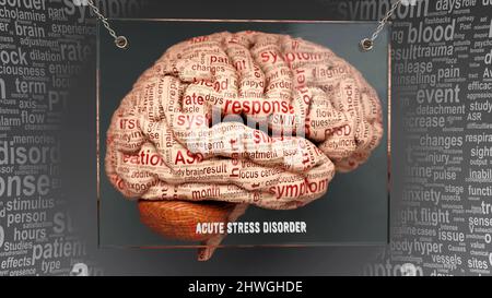 Anatomie der akuten Stressstörung - seine Ursachen und Wirkungen werden auf ein menschliches Gehirn projiziert und zeigen die Komplexität der akuten Stressstörung und den Zusammenhang mit dem menschlichen min Stockfoto