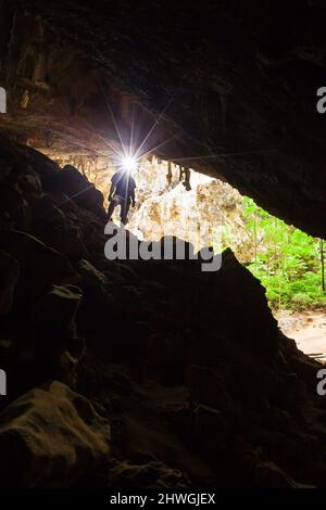 Der junge Entdecker erkundet die geheimnisvolle Höhle mit einer Fackel, Phraya Nakhon Cave, Thailand. Stockfoto