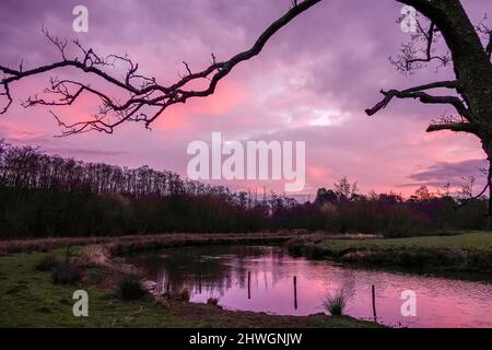 Waverley Lane, Elstead. 06.. März 2022. Ein kalter, aber trockener Start in den Tag für die Heimatkreise. Sonnenaufgang über dem Fluss Wey bei Thundry Meadows in Elstead, in der Nähe von Godalming, in Surrey. Kredit: james jagger/Alamy Live Nachrichten Stockfoto