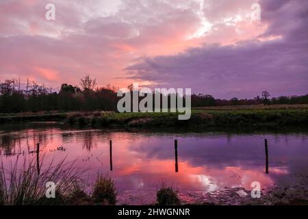 Waverley Lane, Elstead. 06.. März 2022. Ein kalter, aber trockener Start in den Tag für die Heimatkreise. Sonnenaufgang über dem Fluss Wey bei Thundry Meadows in Elstead, in der Nähe von Godalming, in Surrey. Kredit: james jagger/Alamy Live Nachrichten Stockfoto