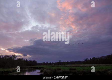 Waverley Lane, Elstead. 06.. März 2022. Ein kalter, aber trockener Start in den Tag für die Heimatkreise. Sonnenaufgang über dem Fluss Wey bei Thundry Meadows in Elstead, in der Nähe von Godalming, in Surrey. Kredit: james jagger/Alamy Live Nachrichten Stockfoto