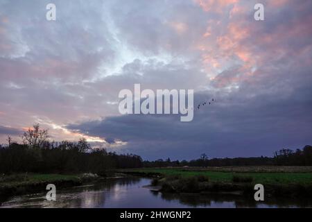 Waverley Lane, Elstead. 06.. März 2022. Ein kalter, aber trockener Start in den Tag für die Heimatkreise. Sonnenaufgang über dem Fluss Wey bei Thundry Meadows in Elstead, in der Nähe von Godalming, in Surrey. Kredit: james jagger/Alamy Live Nachrichten Stockfoto