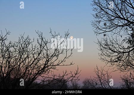 Winter am frühen Morgen Himmel mit Mond und Wolken über der Landschaft in der Nähe von Zagreb, Kroatien Stockfoto