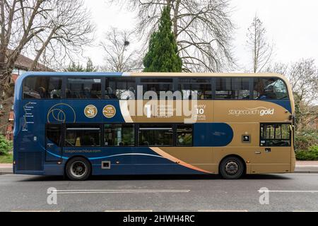 Stagecoach Gold Doppeldeckerbus, Fahrzeug für öffentliche Verkehrsmittel in Camberley, Surrey, England, Großbritannien Stockfoto