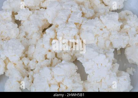 Nahaufnahme von Kuhkäse mit Struktur. Stockfoto