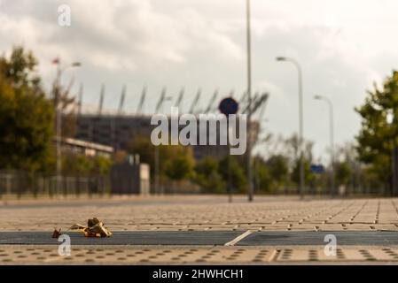 Ein einziges gefallenes Blatt in der Stadt Stockfoto