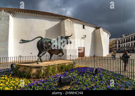 Stier Skulptur vor der Stierkampfarena, Ronda, Andalusien, Spanien | Stierkampfskulptur an der Stierkampfarena Ronda, Ronda, Andalusien, Spanien Stockfoto