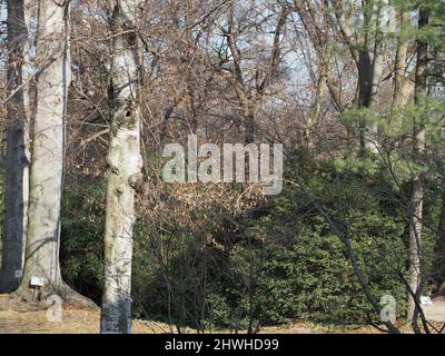 Die Königlichen Botanischen Gärten in Turin, Italien Stockfoto