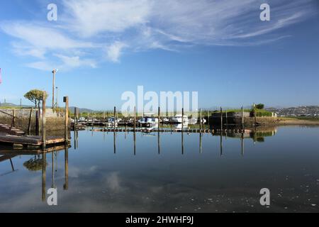 Stöcke für Boote in einem Bootsklub, die sich bei Ebbe im Wasser spiegeln Stockfoto