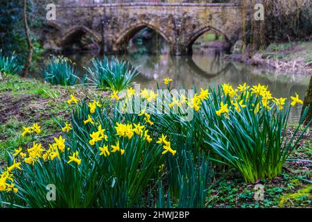 Kent Edenbridge, Großbritannien 06 März 2022 Ein kalter, aber klarer Frühlingstag wie in Hever Castle. Paul Quezada-Neiman/Alamy Live News Stockfoto