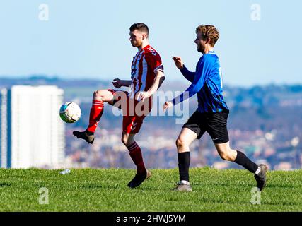 Berlin Swifts vs Aquinas III, Advantage Park, Belfast. Stockfoto